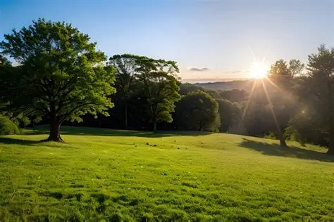 Summer Photo Winner #1